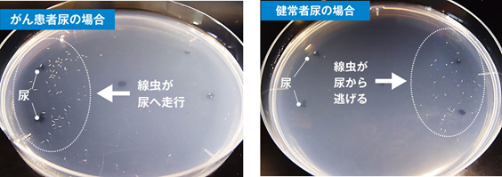 N-NOSE (HIROTSU BIO SCIENCE) | 医療法人杉原クリニック